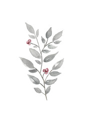 Watercolor twig with red berries