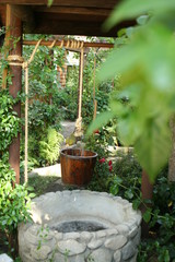garden with plants Water well