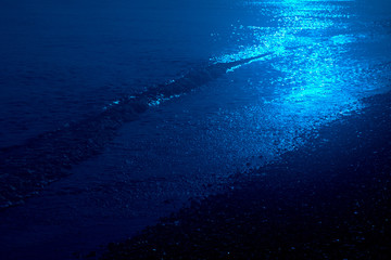 blue water,light,nature,wave, fish, waves,