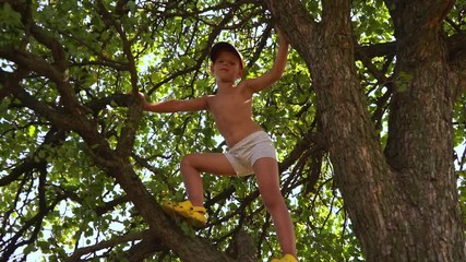 A little boy is climbing a big tree.Happy childhood. Childhood dreams. Place of solitude. Journey back to childhood.Fabulous tree. Memories. When I was a child. A warm wind sways the grass