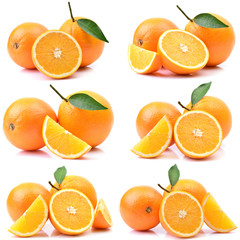 Orange fruit on white background