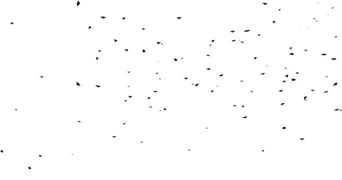 Black birds fly from the bottom left corner and fly away on a white background