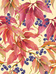 Wild grape with berries and leaves. Seamless background pattern version 3