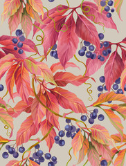 Wild grape with berries and leaves. Seamless background pattern version 5