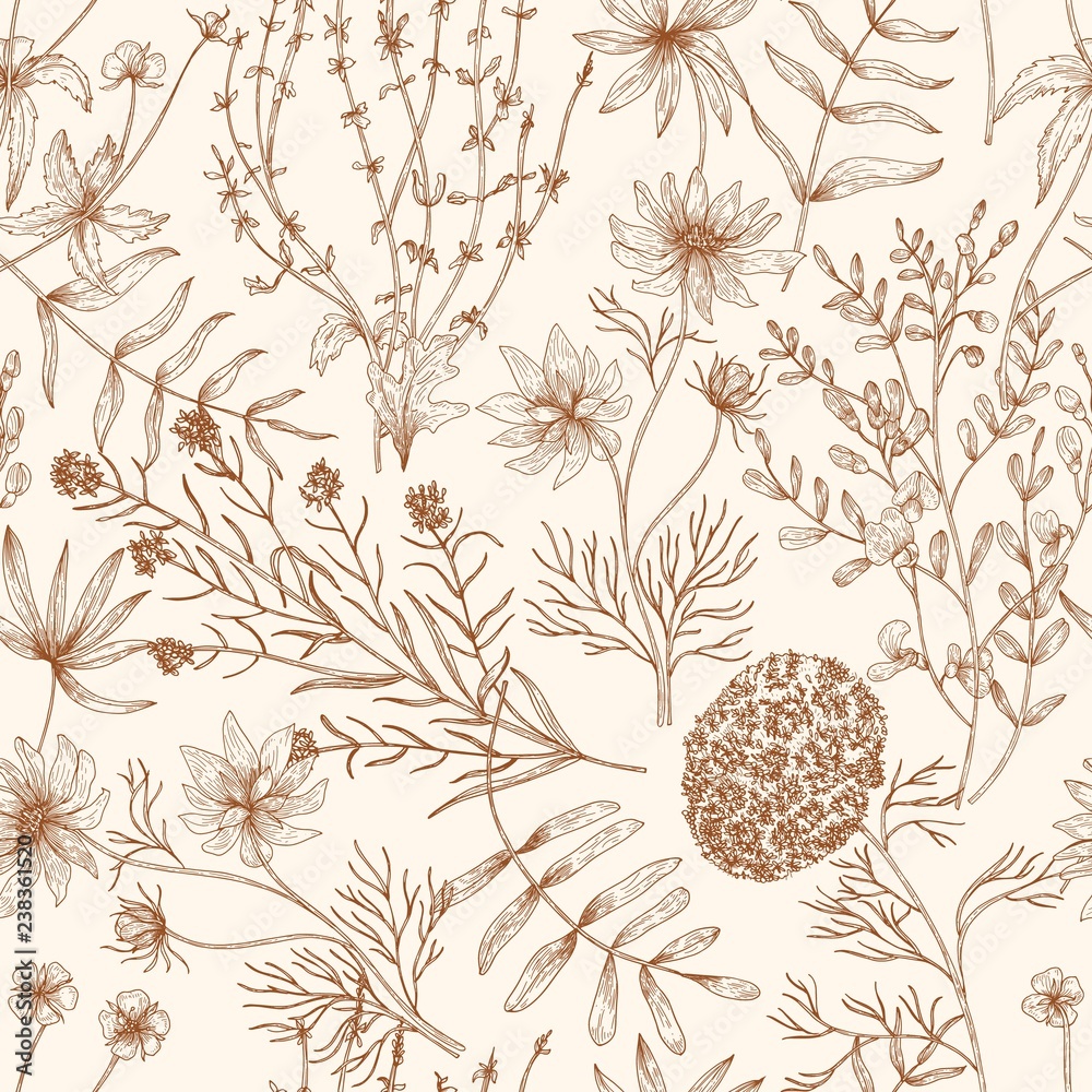Poster monochrome seamless pattern with wild blooming meadow flowers and herbs drawn with contour lines on 