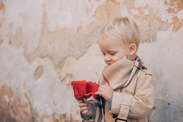 Little boy Celebrate Valentine. Valentines Day Cards. Saint Valentine. Valentines Day: Gift,...