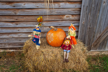 Pumpkin Patch Autum Fall