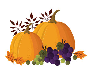 thanksgiving day pumpkin