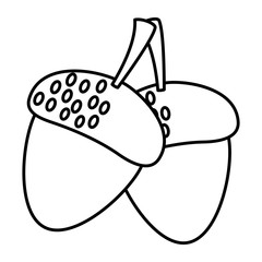 thanksgiving day nuts