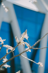 Exploring around the city of Riga in Latvia