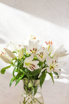 Fototapeta Flower bouquet, white lilies in a vase. White background. 