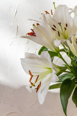 Flower bouquet, white lilies in a vase. White background.