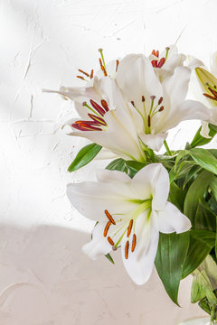 Fototapeta Flower bouquet, white lilies in a vase. White background.