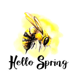 bee post card illustration