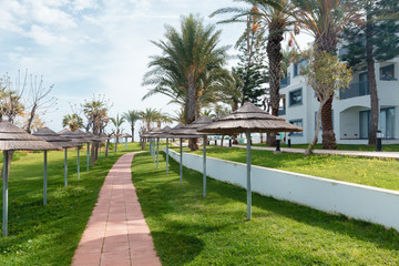 Empty street at the nice and comfortable great garden under lovely blue sky