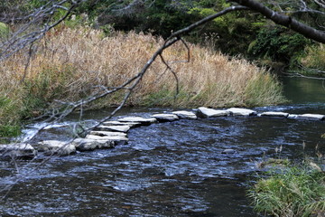 岩屋公園　冬景色