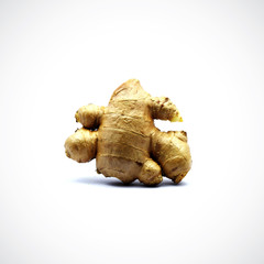 a hot fragrant spice made from the rhizome of a plant. It is chopped or powdered for cooking, preserved in syrup, or candied.