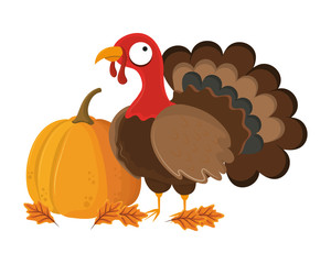 thanksgiving day turkey