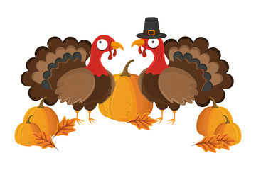 thanksgiving day turkey