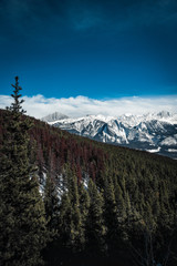 Rocky Mountains during winter