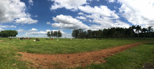 fazenda panoramica
