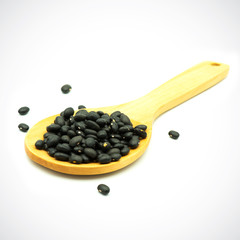 Black turtle bean, a variety of common bean, typically used in Latin American cuisine .