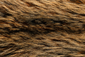 Natural animal fur background texture. brown wool close-up