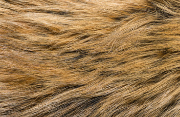 Natural animal fur background texture. brown wool close-up