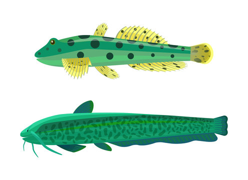 Catfish clip art preview