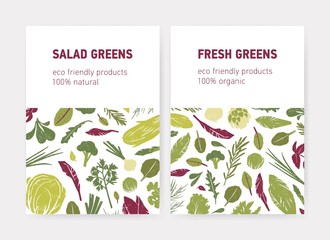 Bundle of flyer or poster templates with green vegetables, fresh salad leaves, spice herbs and place for text on white background. Flat vector illustration for eco friendly products advertisement.