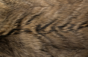 Natural animal fur background texture. brown wool close-up