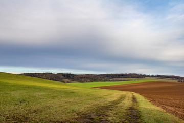 Obraz premium Jesienna wieś z polem, lasem i niebieskim niebem