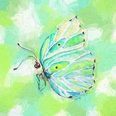 colorful butterfly art illustration