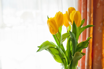 bouquet of yellow tulips on white background with copy space for text