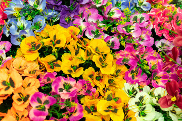 bouquet of colorful multicolored colorful flowers as background