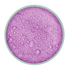 Blueberry milkshake in glass from top view on white background including clipping path