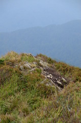 Fototapeta premium Bieszczady Smerek