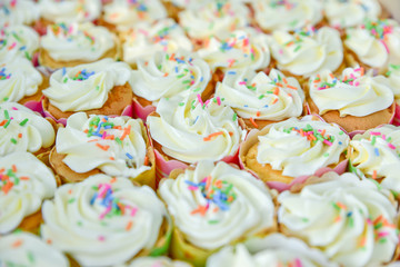 Colorful cupcakes in a box, vanilla cupcakes with pink and white cream, selective focus, close up
