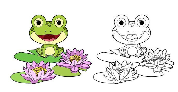 Cute frog sits on leaf of lily color and outlined linear drawing for coloring