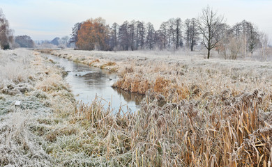 Przymrozek nad rzeką © Aleksandra Madejska