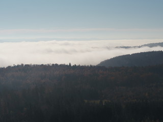 Nebel über Wald 3