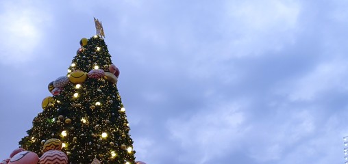 Christmas tree in winter in Thailand.