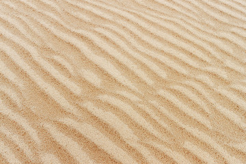 Fototapeta na wymiar The texture of the ripple sandy surface in the desert