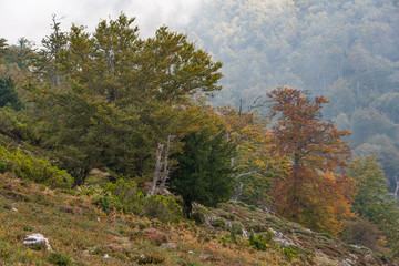 Mountain scene (Picos de Europa) II
