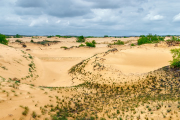 The cloudy landscape with the poor sandy desert vegetation. Rostov-on-Don region, Russia