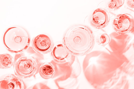 Many glasses of rose wine at wine tasting. Concept of rose wine and variety . Living coral theme - color of the year 2019