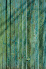 green wooden shabby wall
