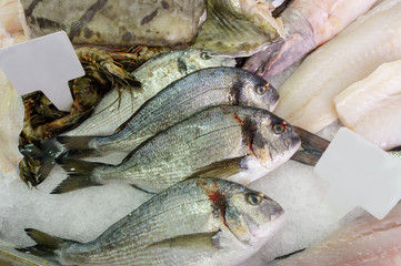 Fresh fish and seafood cooled with ice on a fishmongers slab.