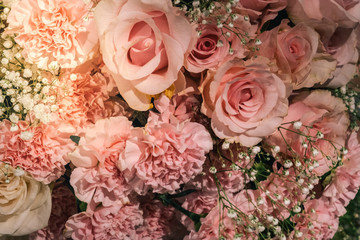Closeup Blooming Pink roses, beautiful Pink rose with bokeh background.Roses 's symbol of love.