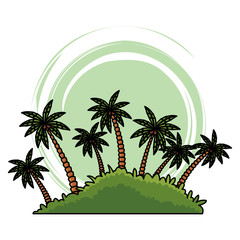 Fototapeta na wymiar island palm tree